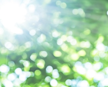 カーボンニュートラルへの取り組み