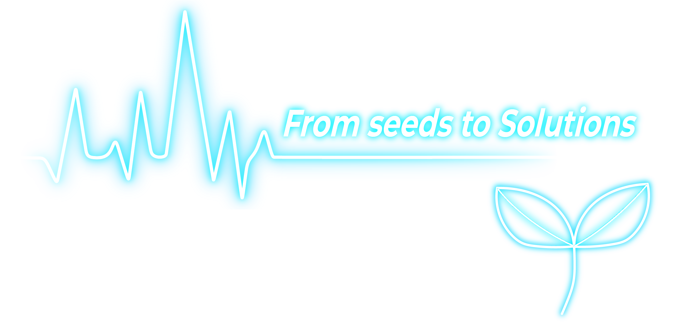 株式会社YGソリューションズ